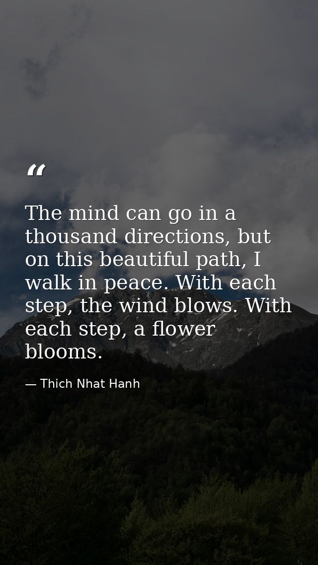 The mind can go in a thousand directions, but on this beautiful path, I walk in peace. With each step, the wind blows. W — Thich Nhat Hanh