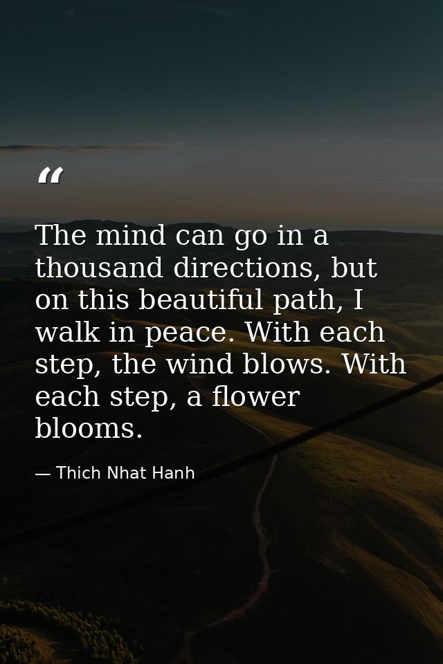 The mind can go in a thousand directions, but on this beautiful path, I walk in peace. With each step, the wind blows. W — Thich Nhat Hanh