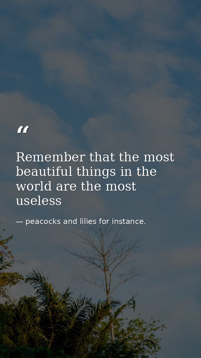 Remember that the most beautiful things in the world are the most useless — peacocks and lilies for instance.