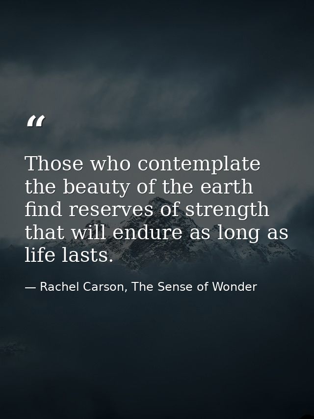 Those who contemplate the beauty of the earth find reserves of strength that will endure as long as life lasts. — Rachel Carson, The Sense of Wonder