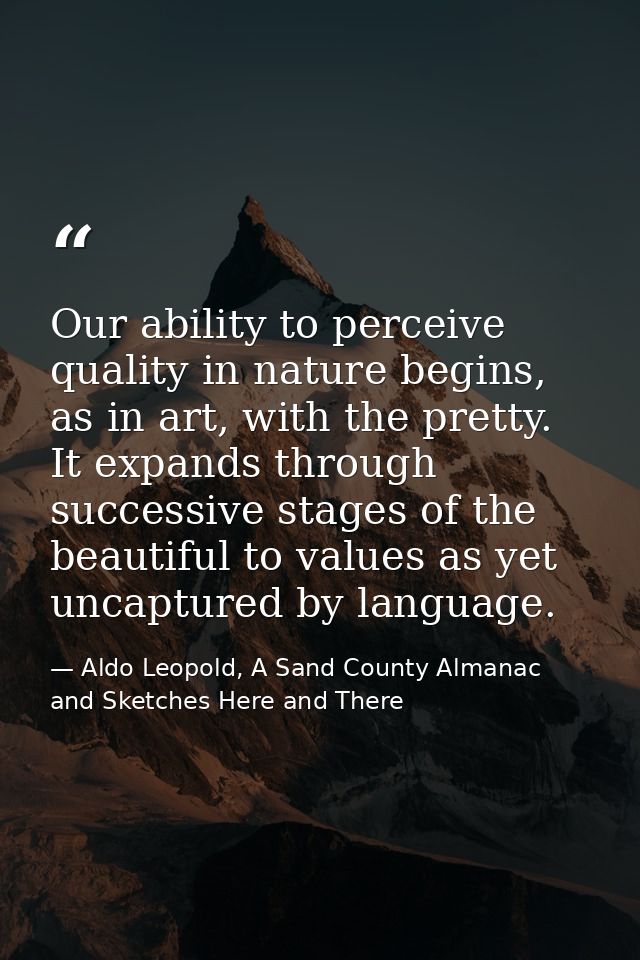Our ability to perceive quality in nature begins, as in art, with the pretty. It expands through successive stages of th — Aldo Leopold, A Sand County Almanac and Sketches Here and There