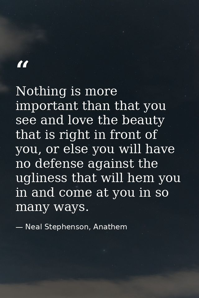 Nothing is more important than that you see and love the beauty that is right in front of you, or else you will have no  — Neal Stephenson, Anathem