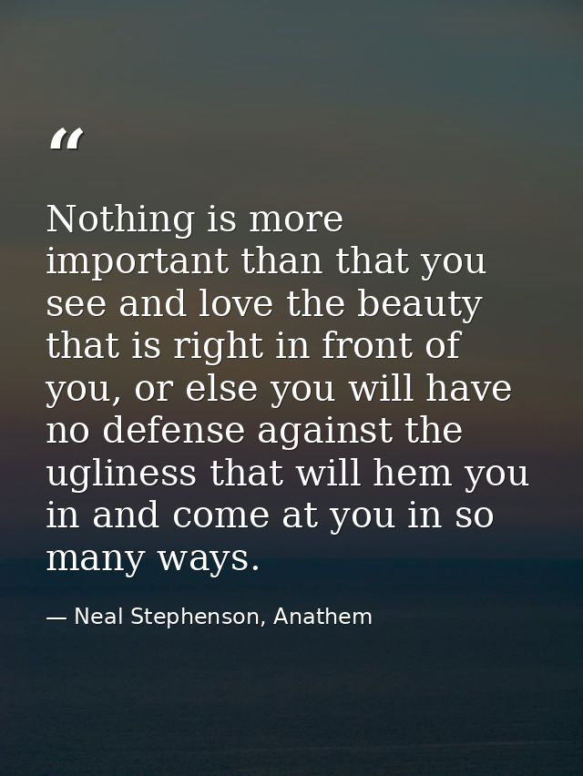 Nothing is more important than that you see and love the beauty that is right in front of you, or else you will have no  — Neal Stephenson, Anathem