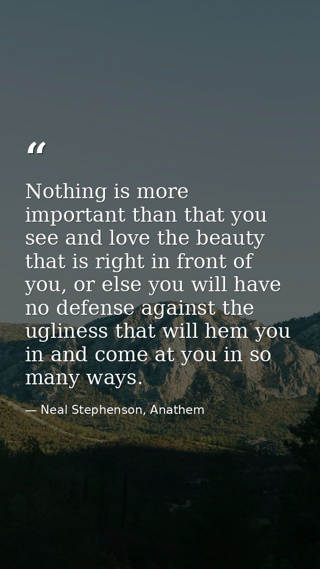 Nothing is more important than that you see and love the beauty that is right in front of you, or else you will have no  — Neal Stephenson, Anathem