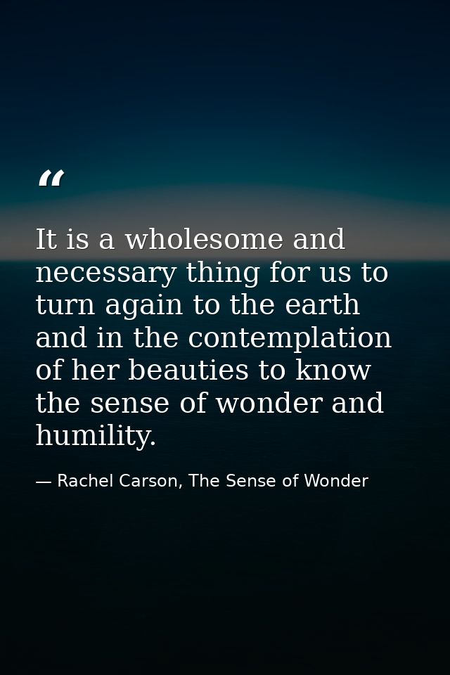 It is a wholesome and necessary thing for us to turn again to the earth and in the contemplation of her beauties to know — Rachel Carson, The Sense of Wonder