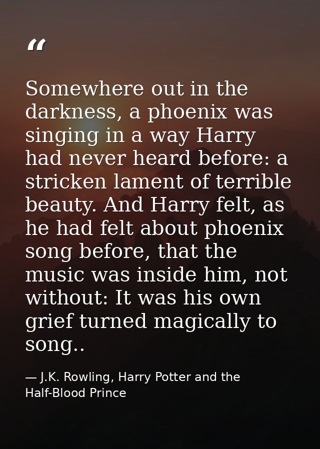 Somewhere out in the darkness, a phoenix was singing in a way Harry had never heard before: a stricken lament of terribl — J.K. Rowling, Harry Potter and the Half-Blood Prince