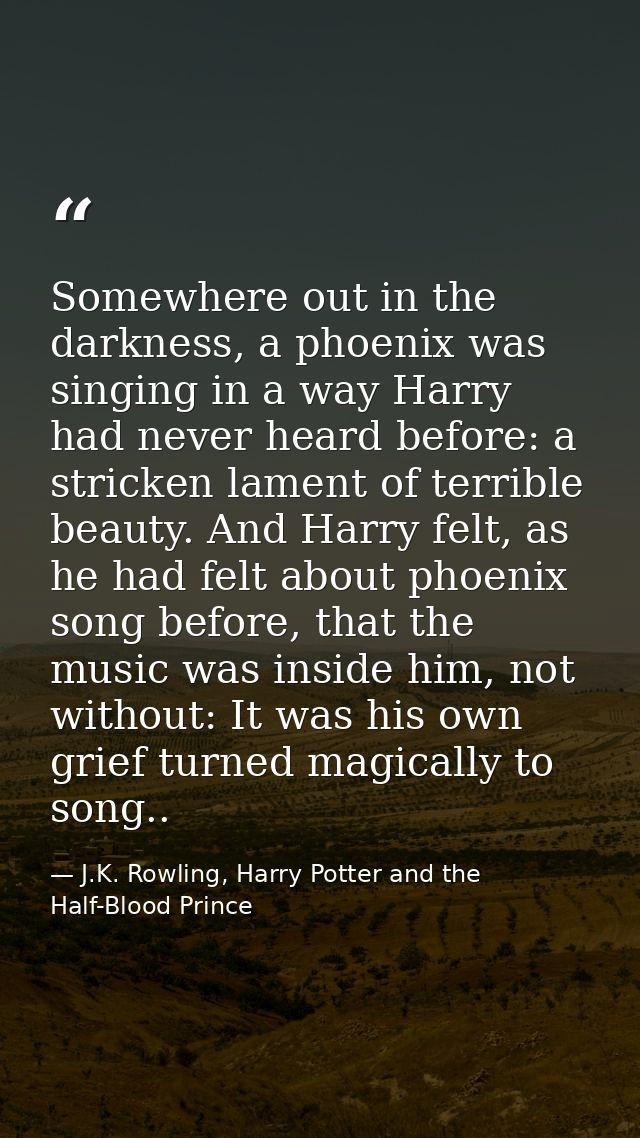 Somewhere out in the darkness, a phoenix was singing in a way Harry had never heard before: a stricken lament of terribl — J.K. Rowling, Harry Potter and the Half-Blood Prince