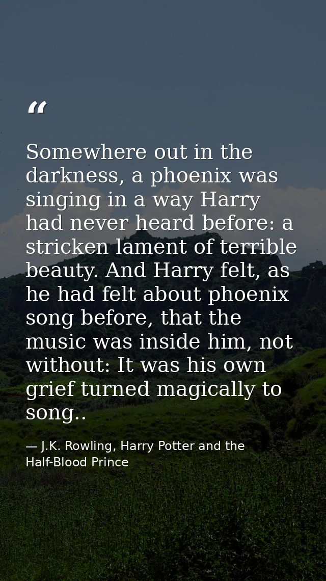 Somewhere out in the darkness, a phoenix was singing in a way Harry had never heard before: a stricken lament of terribl — J.K. Rowling, Harry Potter and the Half-Blood Prince
