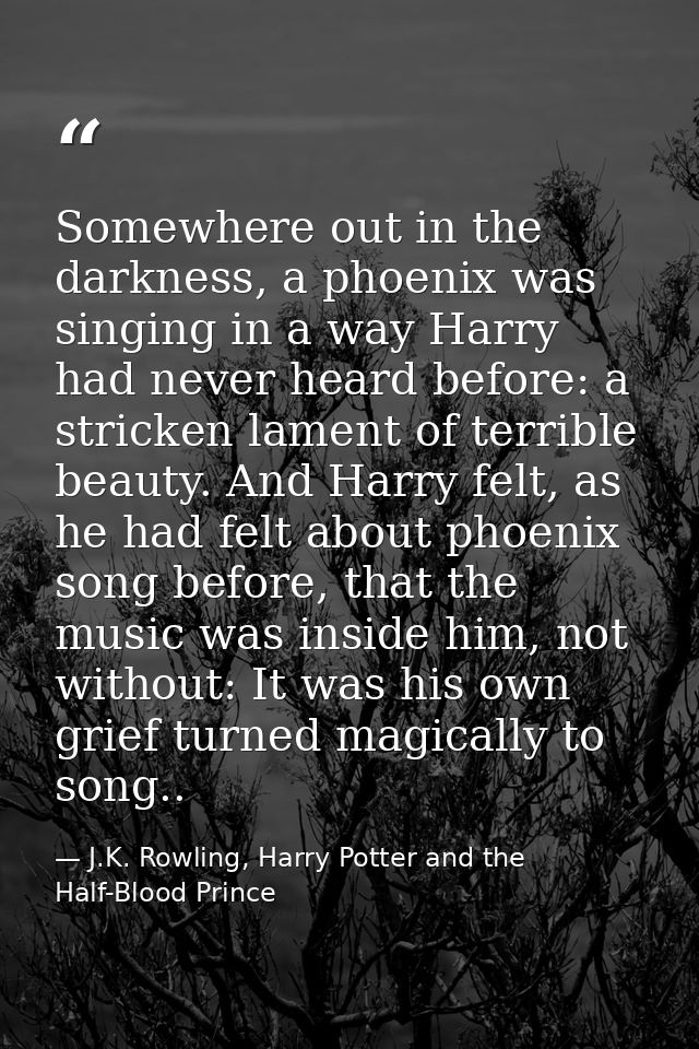 Somewhere out in the darkness, a phoenix was singing in a way Harry had never heard before: a stricken lament of terribl — J.K. Rowling, Harry Potter and the Half-Blood Prince