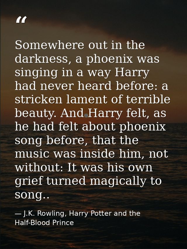 Somewhere out in the darkness, a phoenix was singing in a way Harry had never heard before: a stricken lament of terribl — J.K. Rowling, Harry Potter and the Half-Blood Prince
