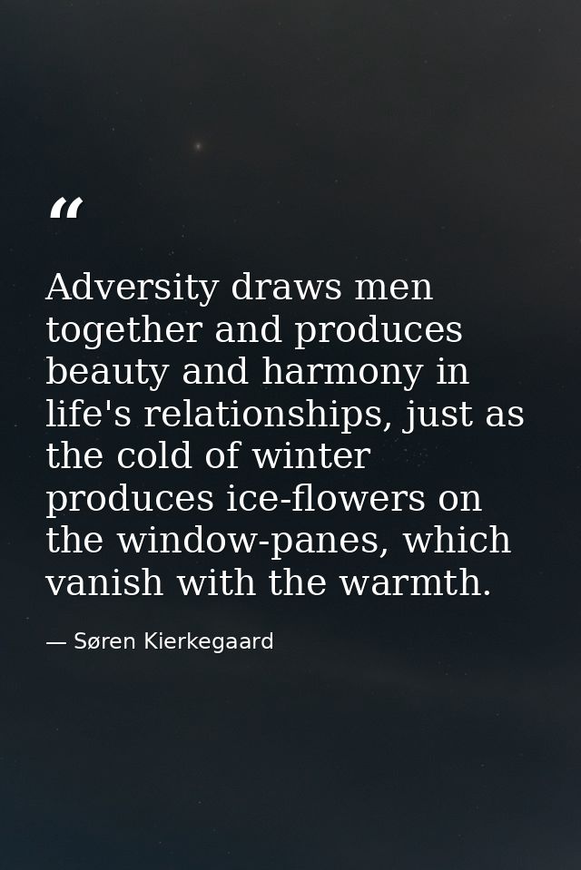 Adversity draws men together and produces beauty and harmony in life's relationships, just as the cold of winter produce — Søren Kierkegaard