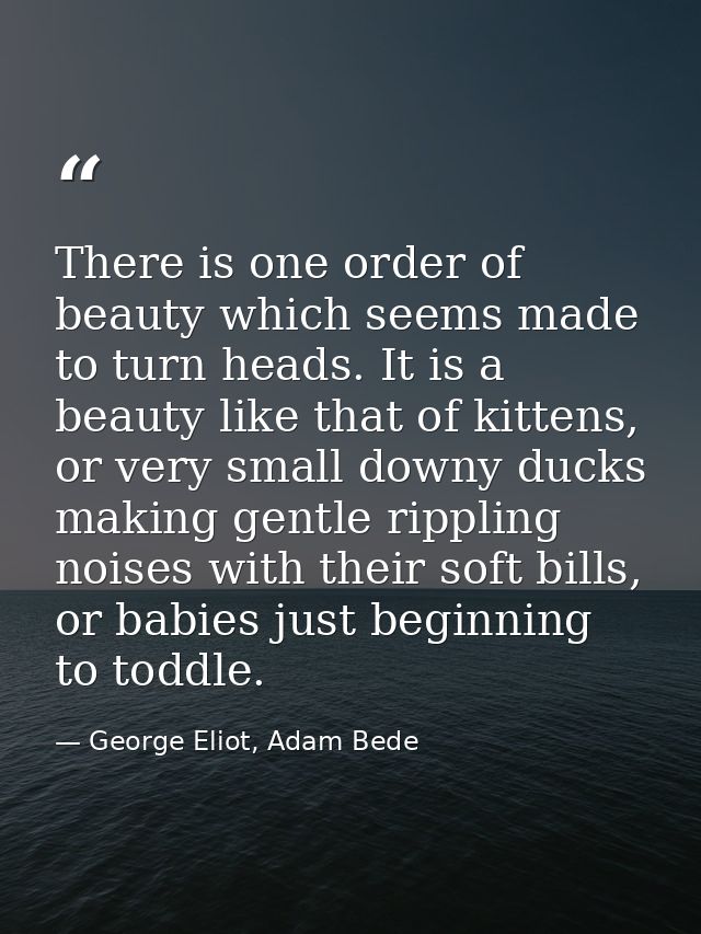There is one order of beauty which seems made to turn heads. It is a beauty like that of kittens, or very small downy du — George Eliot, Adam Bede