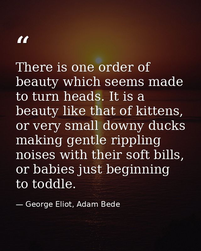 There is one order of beauty which seems made to turn heads. It is a beauty like that of kittens, or very small downy du — George Eliot, Adam Bede