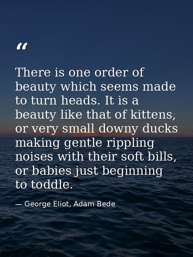 There is one order of beauty which seems made to turn heads. It is a beauty like that of kittens, or very small downy du — George Eliot, Adam Bede