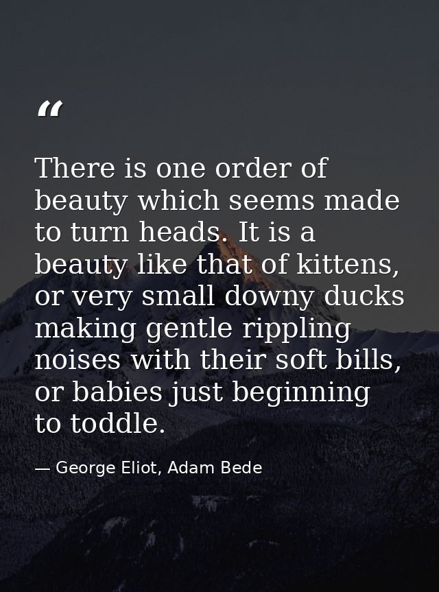 There is one order of beauty which seems made to turn heads. It is a beauty like that of kittens, or very small downy du — George Eliot, Adam Bede