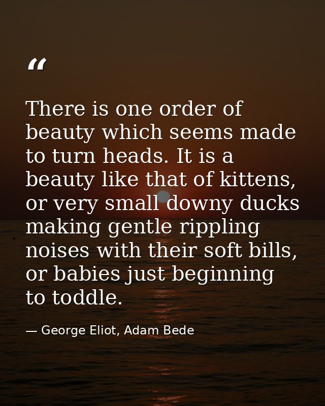 There is one order of beauty which seems made to turn heads. It is a beauty like that of kittens, or very small downy du — George Eliot, Adam Bede