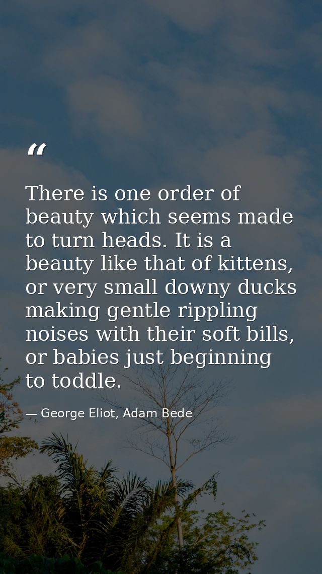 There is one order of beauty which seems made to turn heads. It is a beauty like that of kittens, or very small downy du — George Eliot, Adam Bede