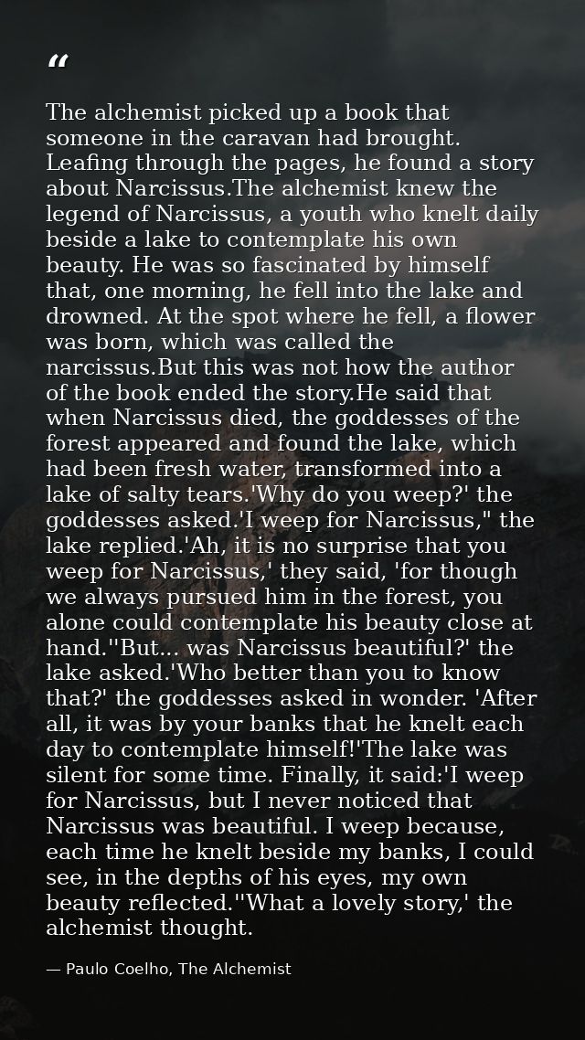 The alchemist picked up a book that someone in the caravan had brought. Leafing through the pages, he found a story abou — Paulo Coelho, The Alchemist