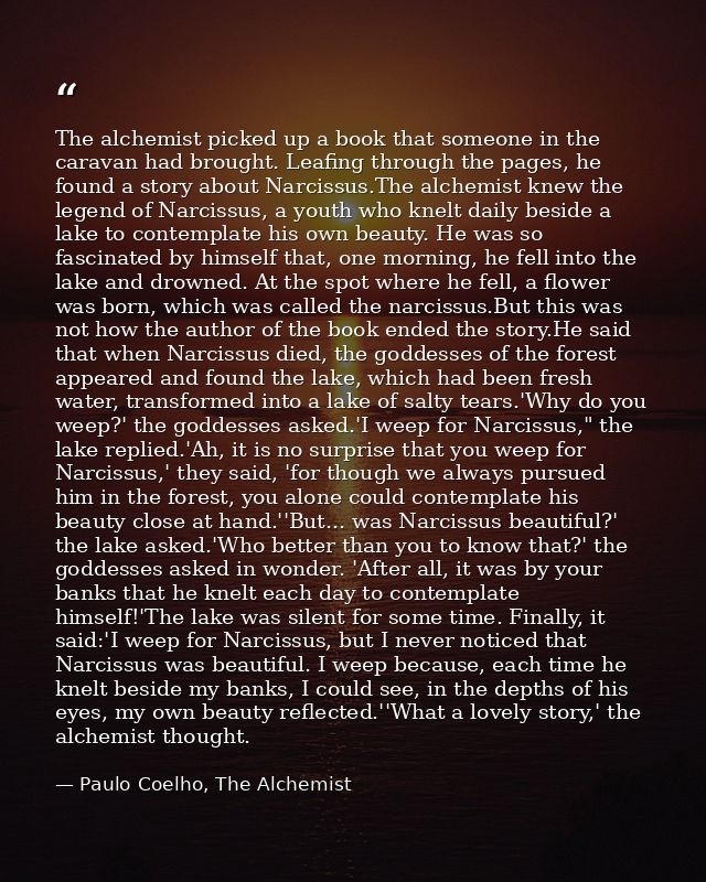 The alchemist picked up a book that someone in the caravan had brought. Leafing through the pages, he found a story abou — Paulo Coelho, The Alchemist
