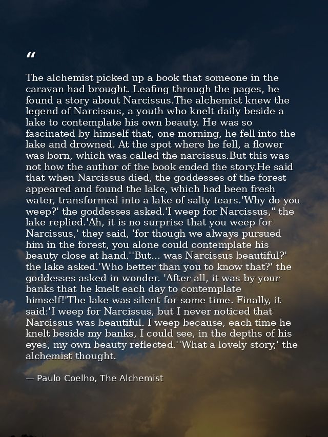 The alchemist picked up a book that someone in the caravan had brought. Leafing through the pages, he found a story abou — Paulo Coelho, The Alchemist