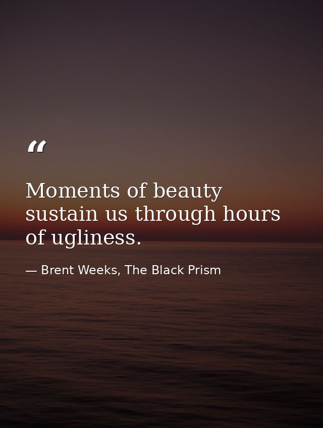 Moments of beauty sustain us through hours of ugliness. — Brent Weeks, The Black Prism
