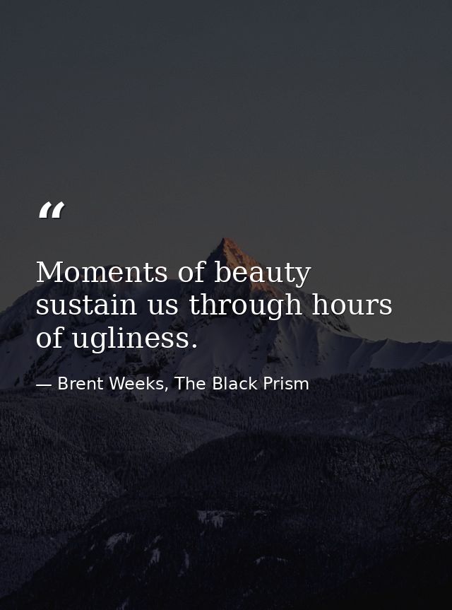 Moments of beauty sustain us through hours of ugliness. — Brent Weeks, The Black Prism