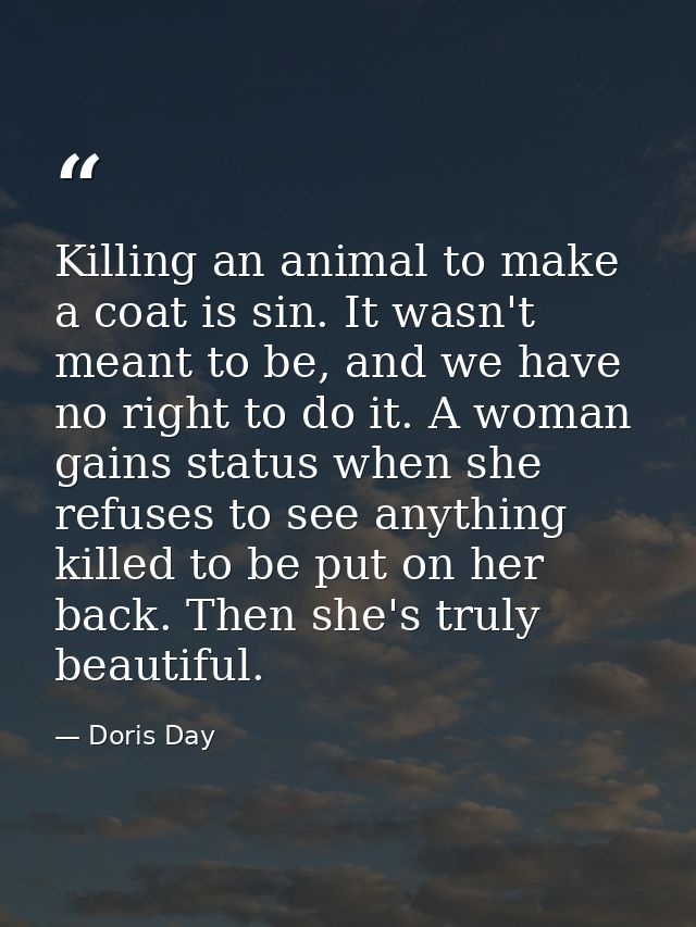 Killing an animal to make a coat is sin. It wasn't meant to be, and we have no right to do it. A woman gains status when — Doris Day
