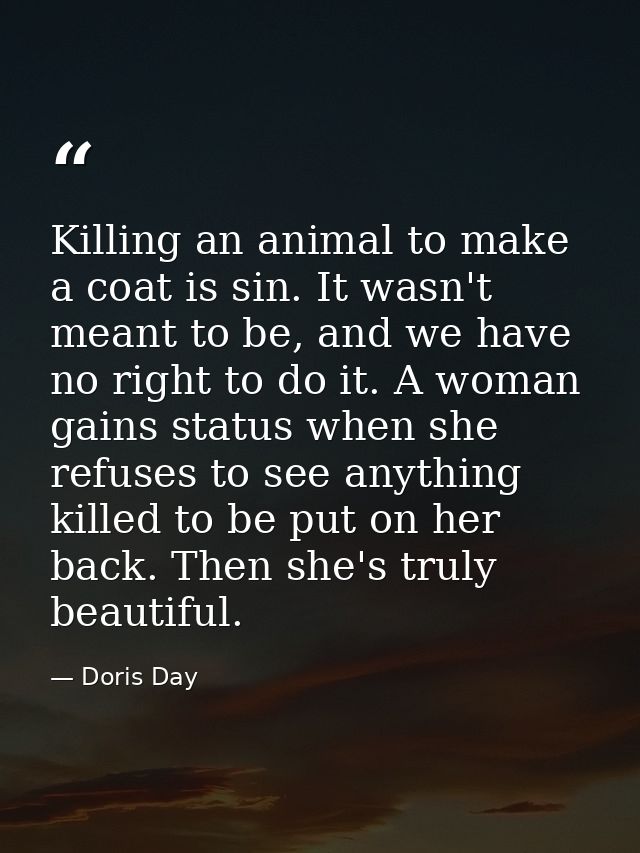 Killing an animal to make a coat is sin. It wasn't meant to be, and we have no right to do it. A woman gains status when — Doris Day
