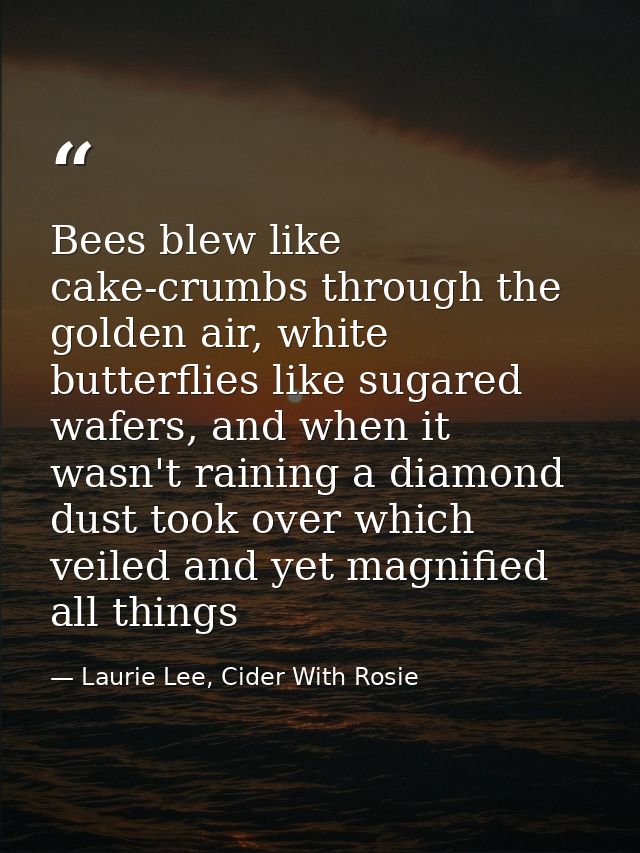 Bees blew like cake-crumbs through the golden air, white butterflies like sugared wafers, and when it wasn't raining a d — Laurie Lee, Cider With Rosie