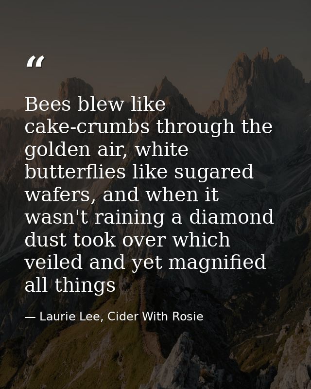 Bees blew like cake-crumbs through the golden air, white butterflies like sugared wafers, and when it wasn't raining a d — Laurie Lee, Cider With Rosie