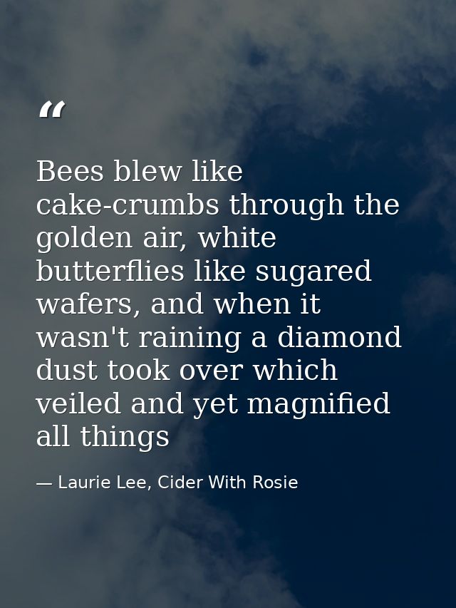 Bees blew like cake-crumbs through the golden air, white butterflies like sugared wafers, and when it wasn't raining a d — Laurie Lee, Cider With Rosie