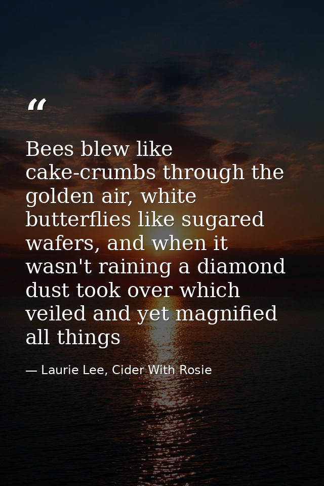 Bees blew like cake-crumbs through the golden air, white butterflies like sugared wafers, and when it wasn't raining a d — Laurie Lee, Cider With Rosie