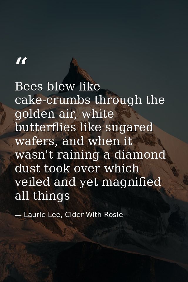 Bees blew like cake-crumbs through the golden air, white butterflies like sugared wafers, and when it wasn't raining a d — Laurie Lee, Cider With Rosie