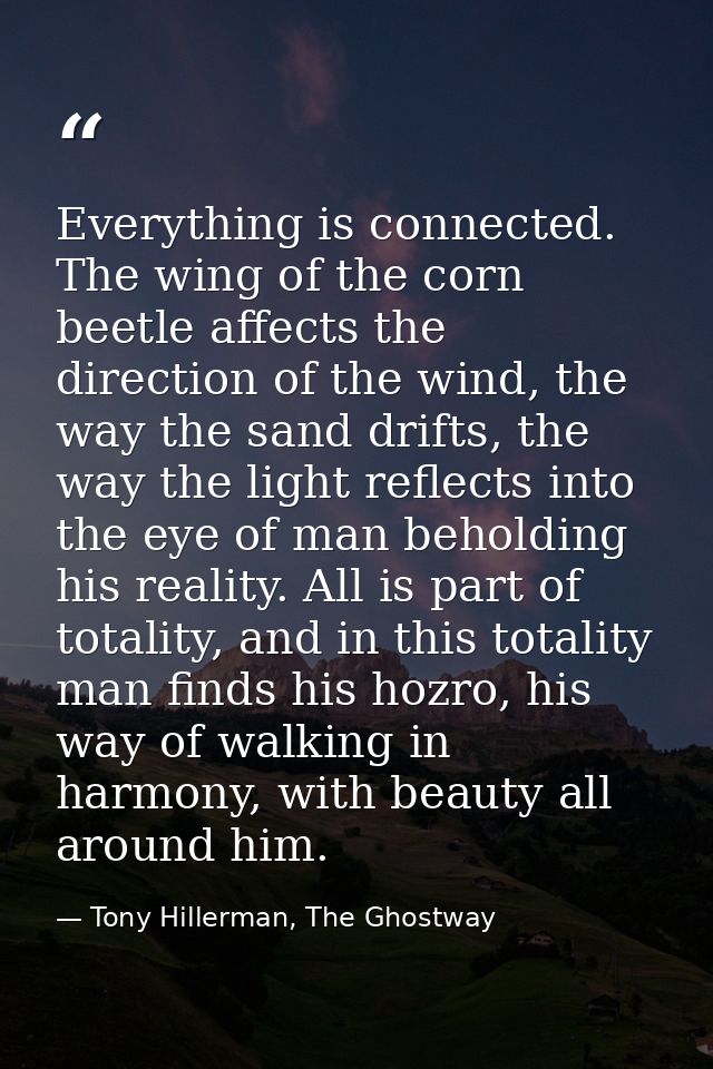 Everything is connected. The wing of the corn beetle affects the direction of the wind, the way the sand drifts, the way — Tony Hillerman, The Ghostway
