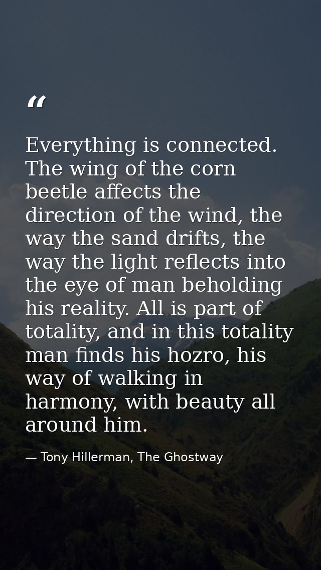 Everything is connected. The wing of the corn beetle affects the direction of the wind, the way the sand drifts, the way — Tony Hillerman, The Ghostway