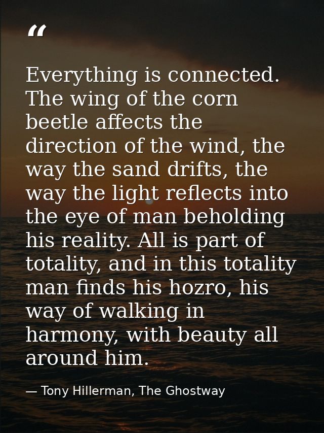 Everything is connected. The wing of the corn beetle affects the direction of the wind, the way the sand drifts, the way — Tony Hillerman, The Ghostway