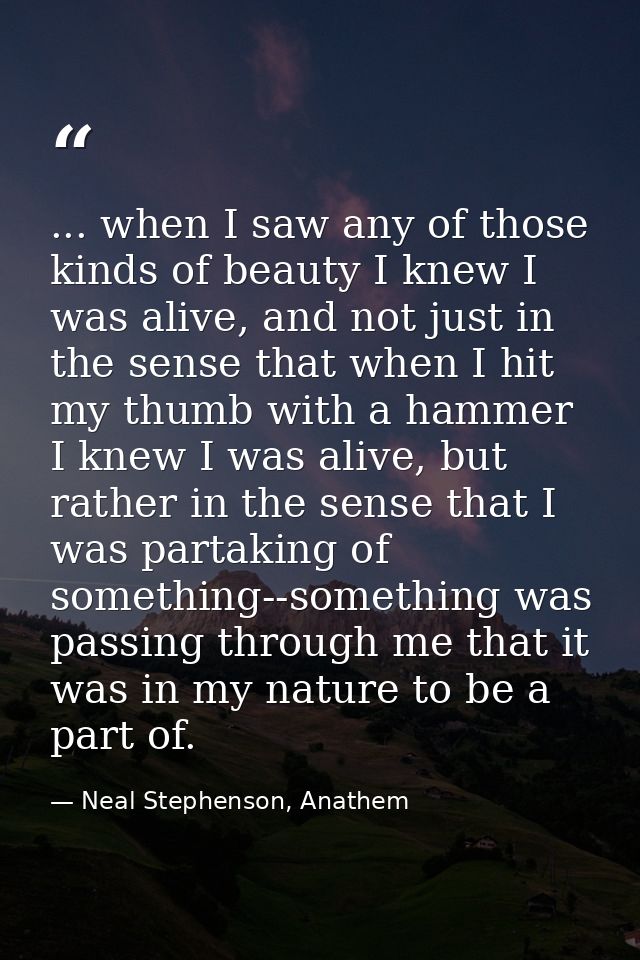 ... when I saw any of those kinds of beauty I knew I was alive, and not just in the sense that when I hit my thumb with  — Neal Stephenson, Anathem