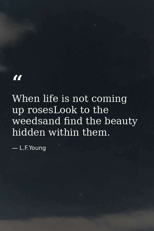 When life is not coming up rosesLook to the weedsand find the beauty hidden within them. — L.F.Young