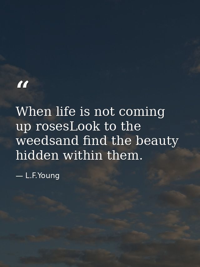 When life is not coming up rosesLook to the weedsand find the beauty hidden within them. — L.F.Young