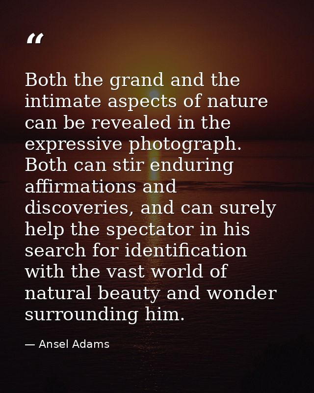Both the grand and the intimate aspects of nature can be revealed in the expressive photograph. Both can stir enduring a — Ansel Adams
