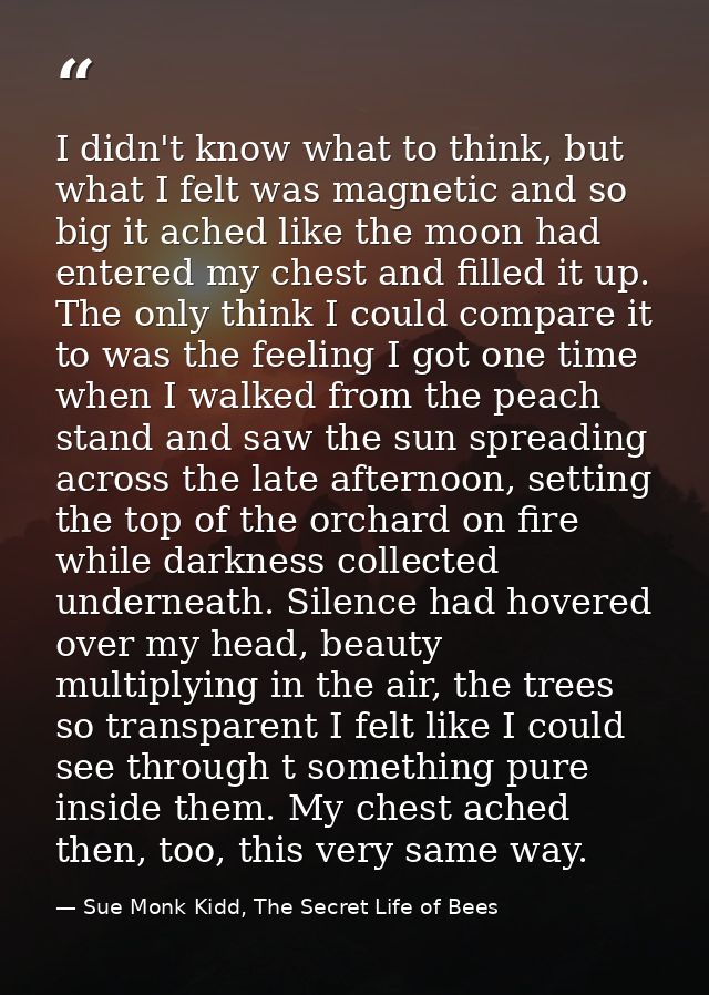 I didn't know what to think, but what I felt was magnetic and so big it ached like the moon had entered my chest and fil — Sue Monk Kidd, The Secret Life of Bees