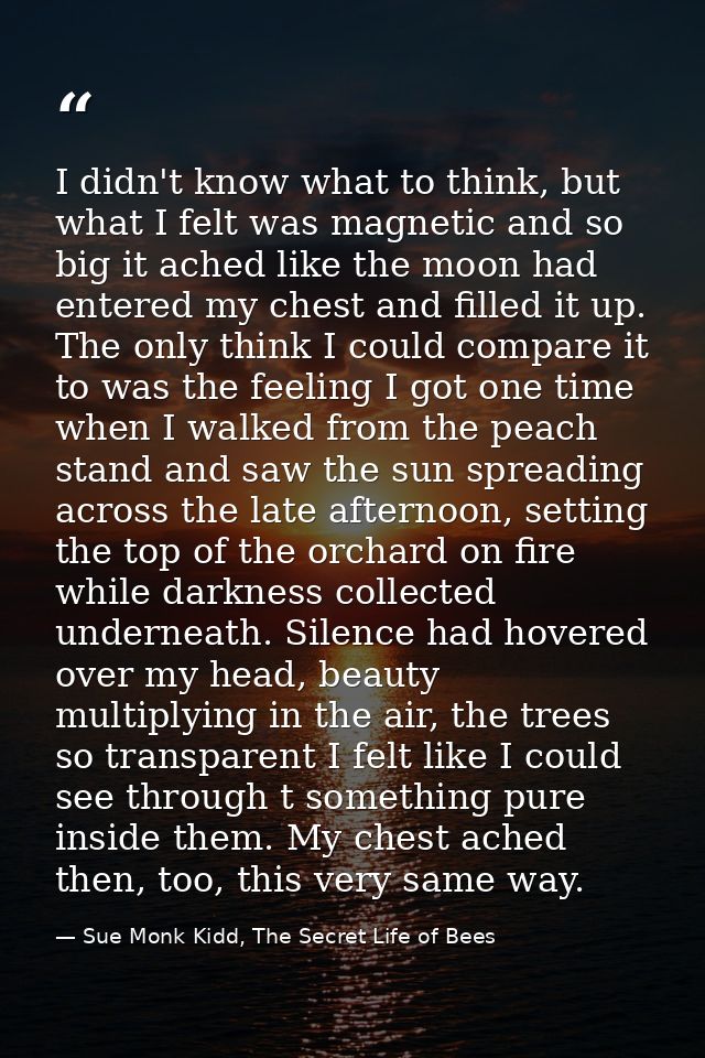 I didn't know what to think, but what I felt was magnetic and so big it ached like the moon had entered my chest and fil — Sue Monk Kidd, The Secret Life of Bees