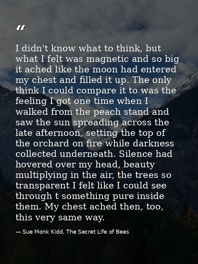 I didn't know what to think, but what I felt was magnetic and so big it ached like the moon had entered my chest and fil — Sue Monk Kidd, The Secret Life of Bees