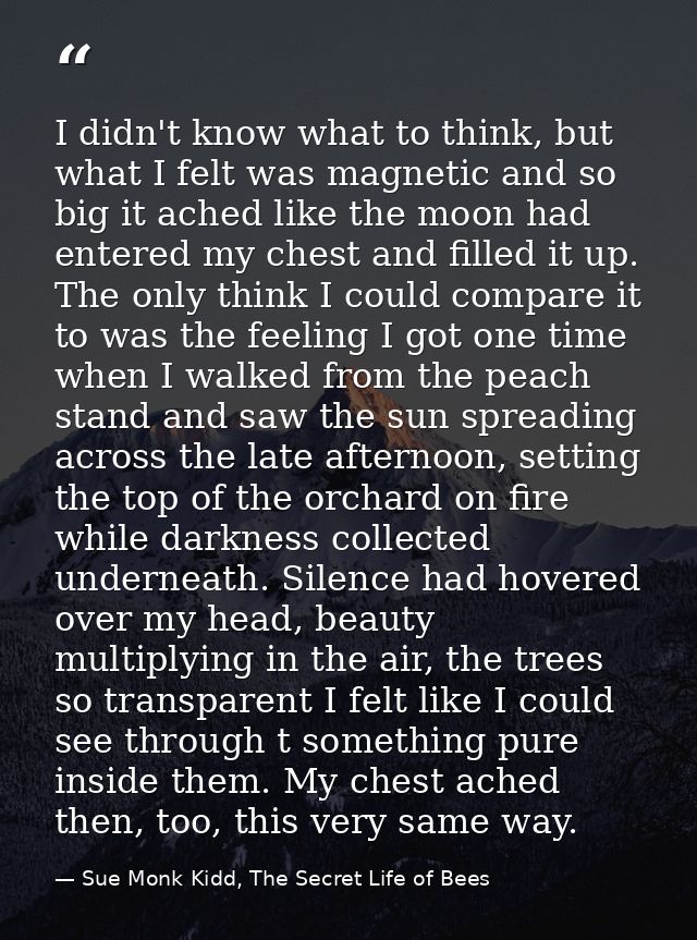 I didn't know what to think, but what I felt was magnetic and so big it ached like the moon had entered my chest and fil — Sue Monk Kidd, The Secret Life of Bees