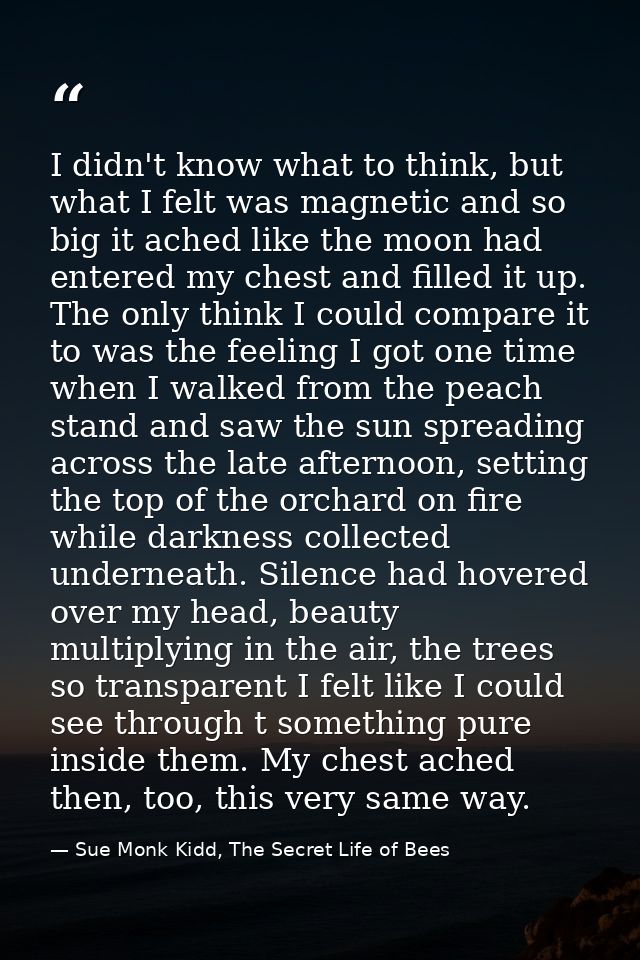 I didn't know what to think, but what I felt was magnetic and so big it ached like the moon had entered my chest and fil — Sue Monk Kidd, The Secret Life of Bees