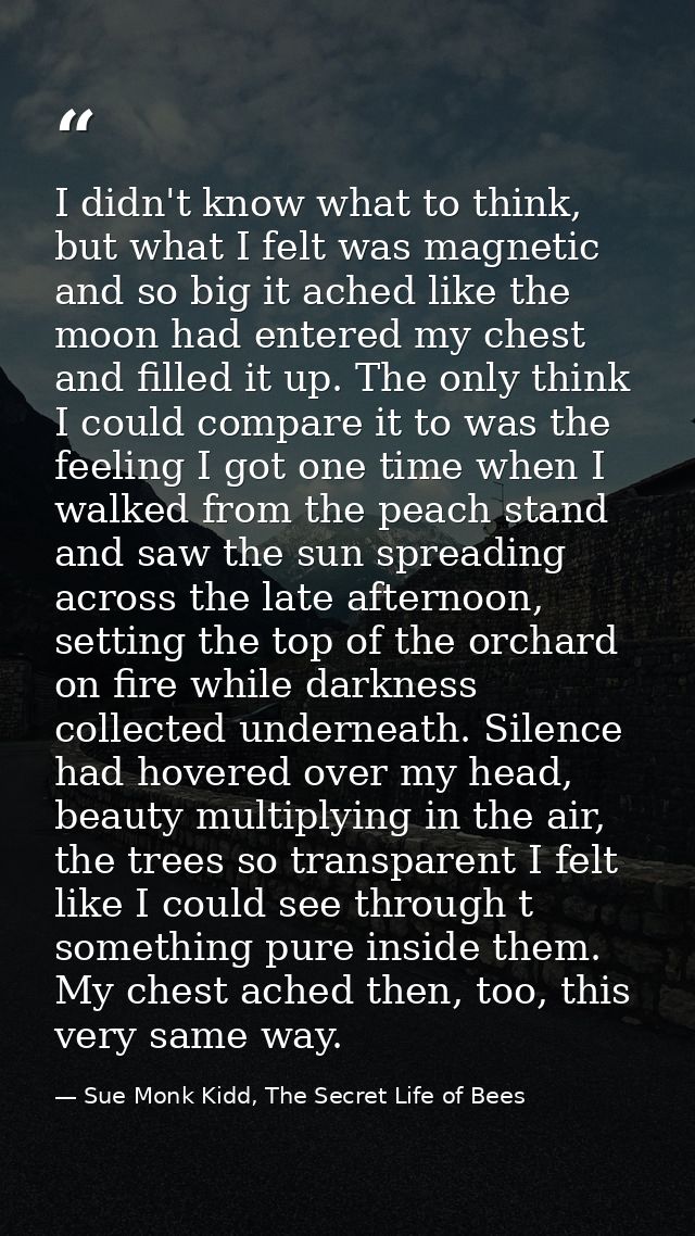 I didn't know what to think, but what I felt was magnetic and so big it ached like the moon had entered my chest and fil — Sue Monk Kidd, The Secret Life of Bees