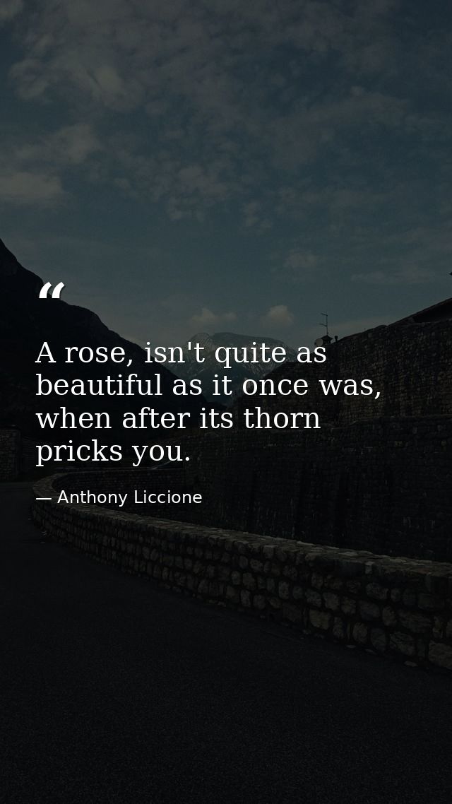 A rose, isn't quite as beautiful as it once was, when after its thorn pricks you. — Anthony Liccione