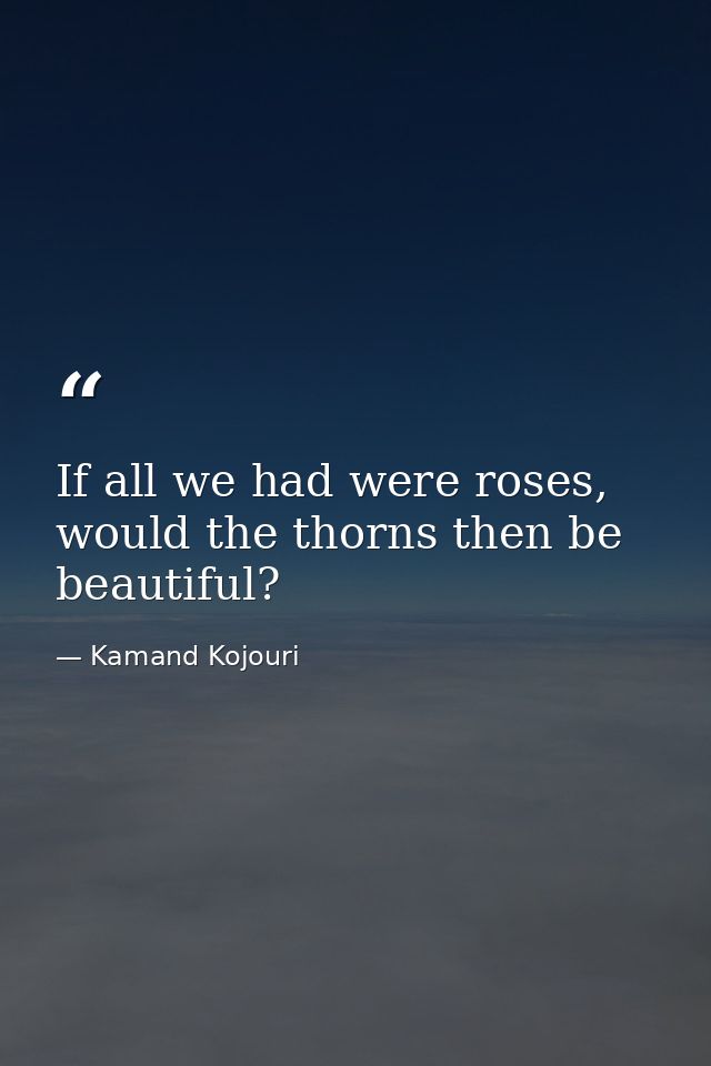 If all we had were roses, would the thorns then be beautiful? — Kamand Kojouri