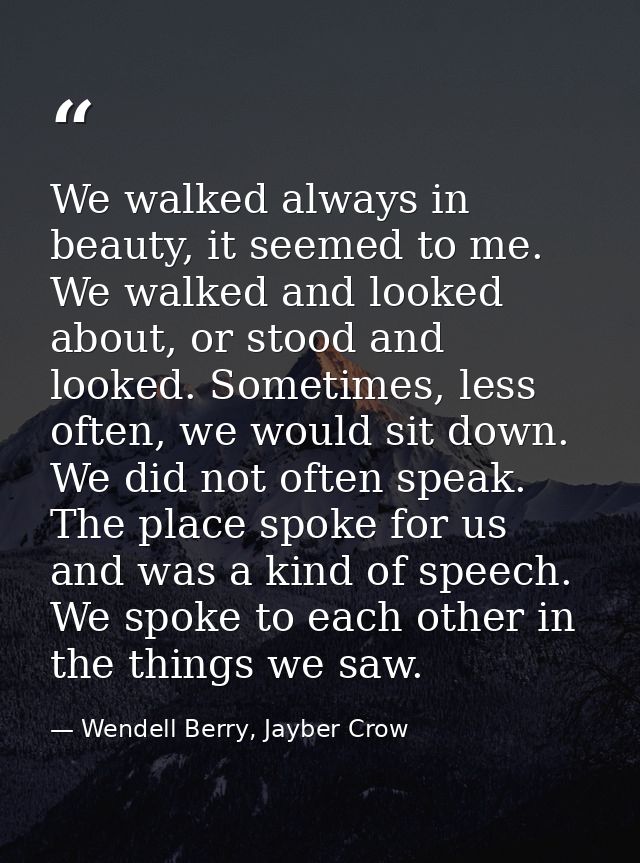 We walked always in beauty, it seemed to me. We walked and looked about, or stood and looked. Sometimes, less often, we  — Wendell Berry, Jayber Crow