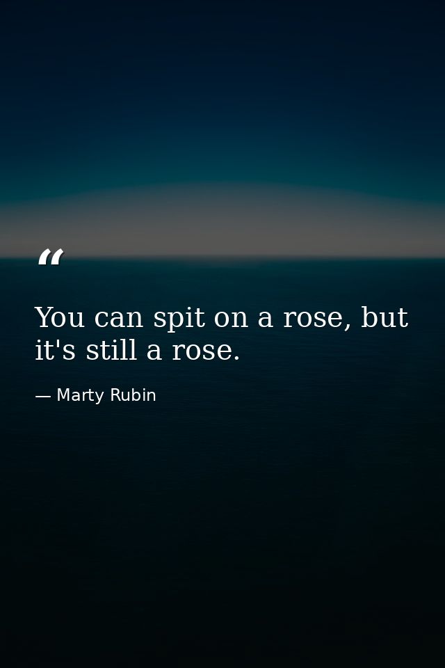 You can spit on a rose, but it's still a rose. — Marty Rubin